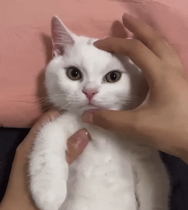 这些女明星里谁最漂亮？